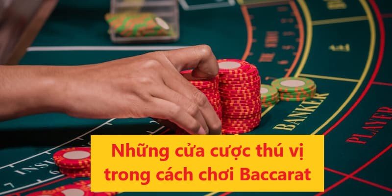 Những cửa cược Baccarat mà bạn đặt tiền tại sân chơi TD88