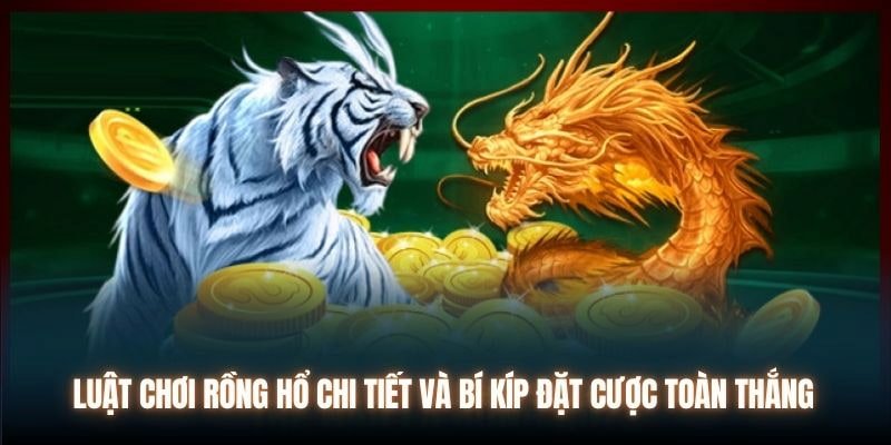 Khám phá các chiến lược chơi Rồng Hổ bất bại