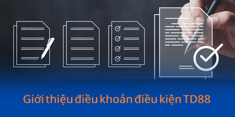 Giới thiệu sơ bộ về chính sách điều khoản điều kiện