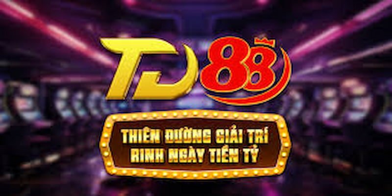 Khi nào nên liên hệ TD88?