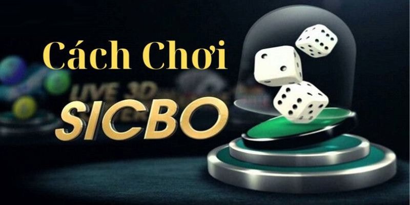 Một số cách gọi trong luật chơi Sic Bo mà thành viên cần biết